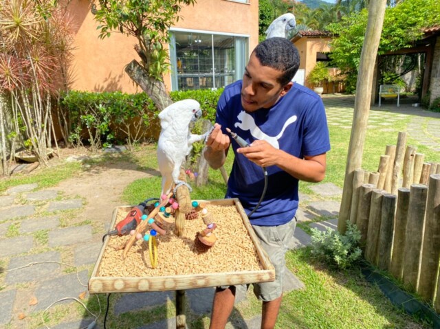 John Barreto de Souza Lima há 16 anos se dedica ao trabalho com aves