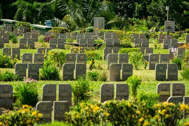 Bosque da Paz realiza programação especial no Dia de Finados